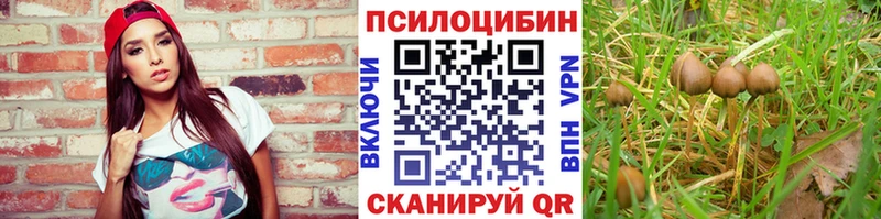 Псилоцибиновые грибы прущие грибы Петровск