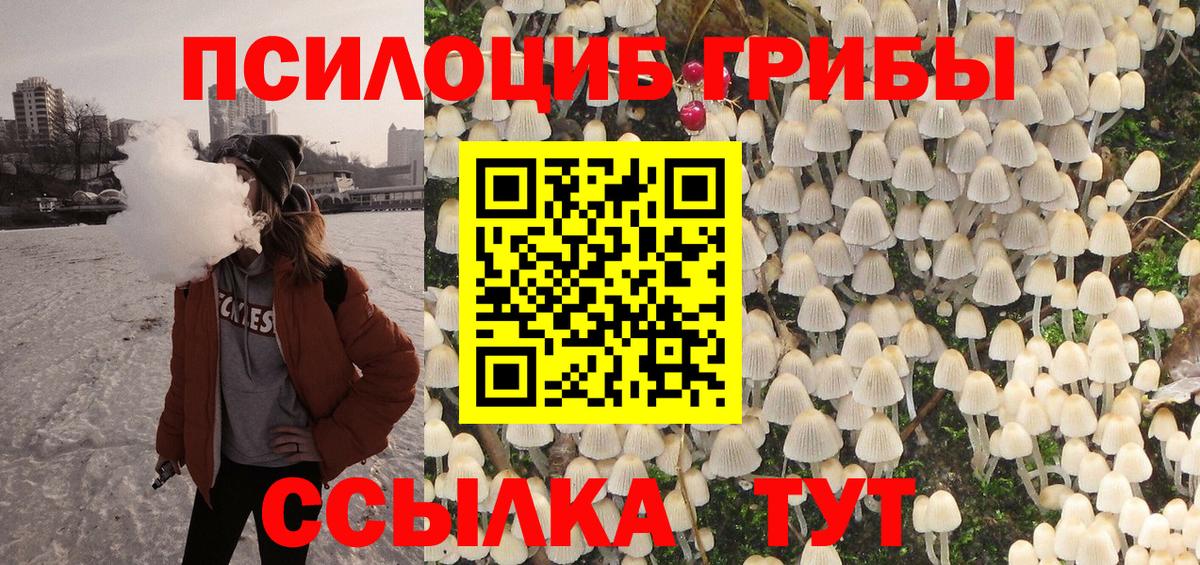 Галлюциногенные грибы прущие грибы Петровск