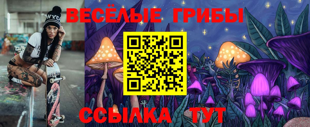 Галлюциногенные грибы Cubensis Петровск