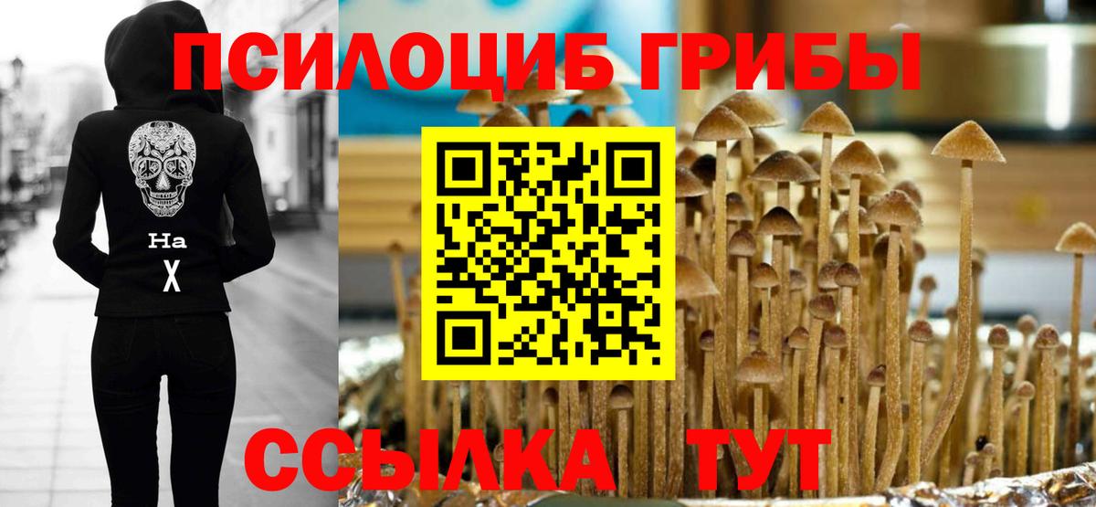 Галлюциногенные грибы Magic Shrooms  Галлюциногенные грибы Magic Shrooms  Вход с VPN  Петровск 