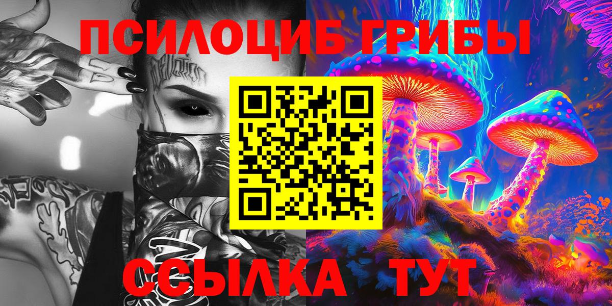 где купить   Петровск  Галлюциногенные грибы мухоморы 